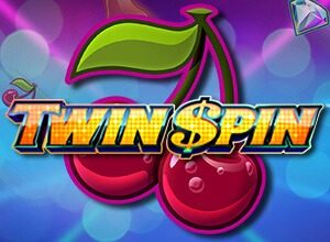 cont_twin-spin-slot_300x220